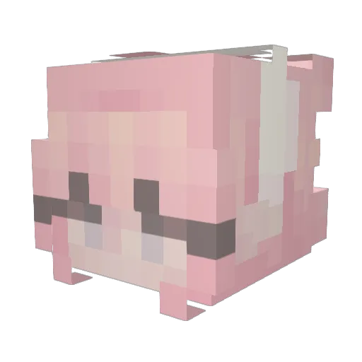 xPayla Minecraft avatar head, 3D render