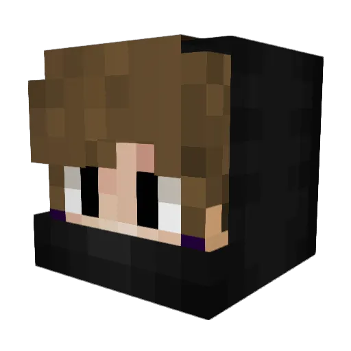 xPedrx11 Minecraft avatar head, 3D render