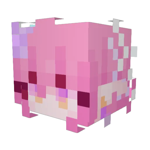 xPikachilla Minecraft avatar head, 3D render