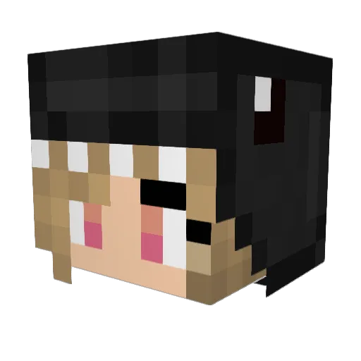 xPingerx Minecraft avatar head, 3D render