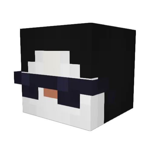 xPingi Minecraft avatar head, 3D render