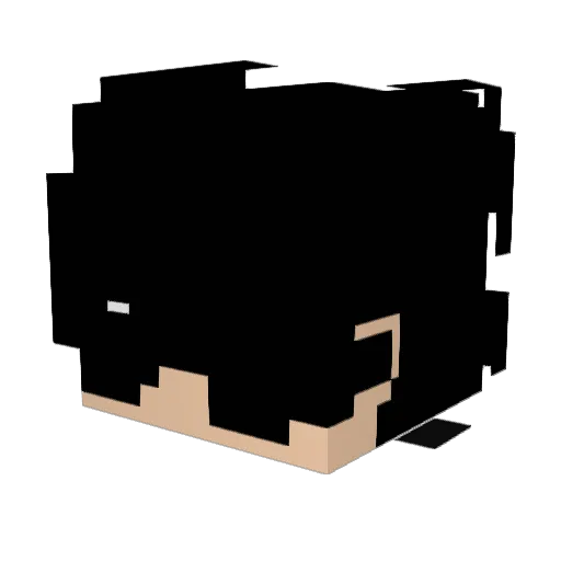 xPiotrek_PvP Minecraft avatar head, 3D render