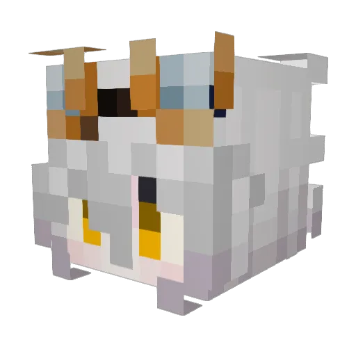 xPopka Minecraft avatar head, 3D render