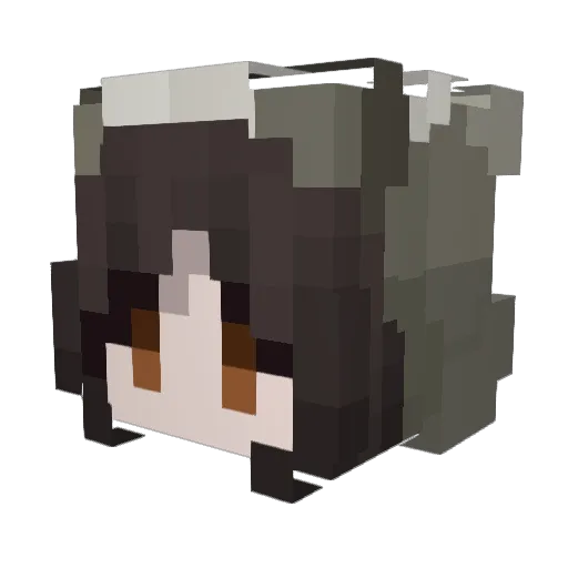 xPyjamaLama Minecraft avatar head, 3D render