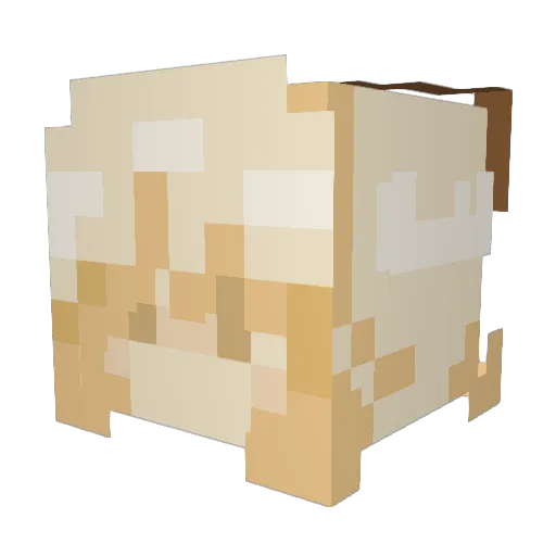 xQuestyGhostyx Minecraft avatar head, 3D render