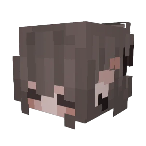 xQuilx Minecraft avatar head, 3D render