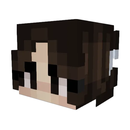 xQuinnXD Minecraft avatar head, 3D render