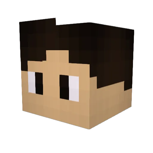 xR4coonX Minecraft avatar head, 3D render