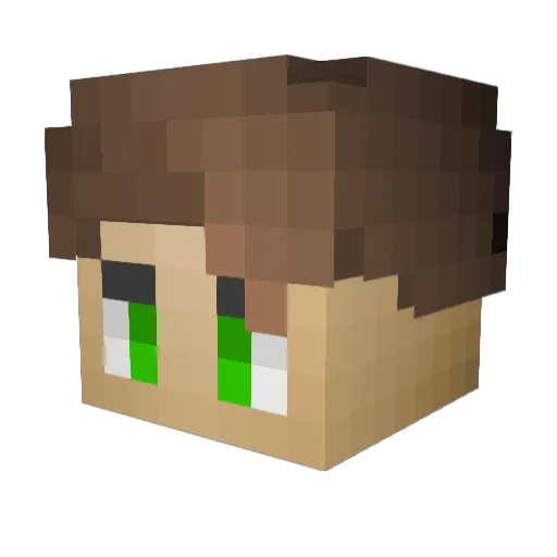 xRE_Killx Minecraft avatar head, 3D render