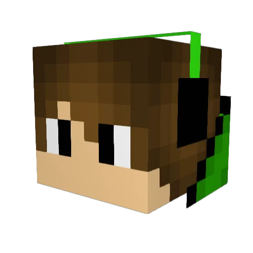 xRYANx17 Minecraft avatar head, 3D render