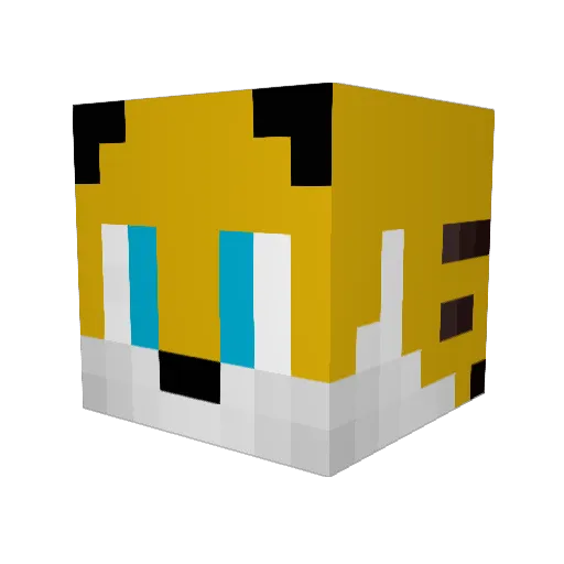 xRa1nss Minecraft avatar head, 3D render