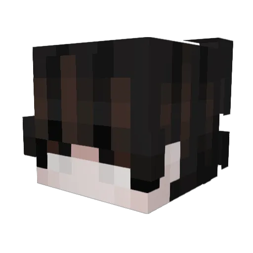 xRadeksx Minecraft avatar head, 3D render