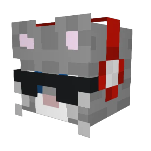 xRagingxGamer35 Minecraft avatar head, 3D render