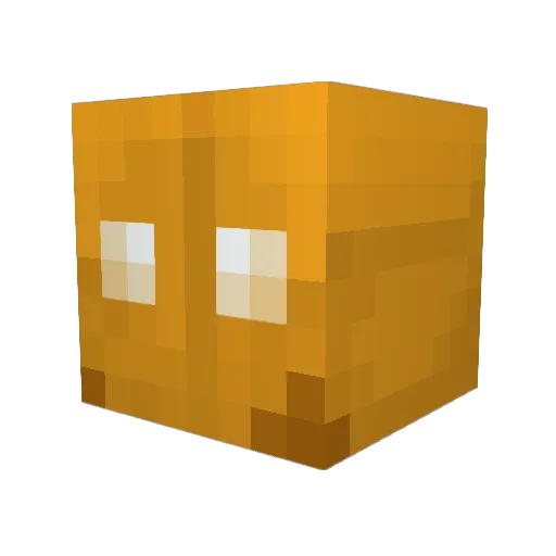 xRaiky Minecraft avatar head, 3D render