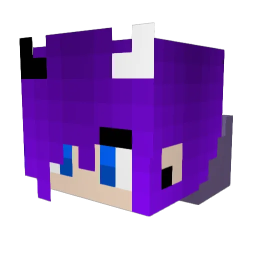 xRainyDay03x Minecraft avatar head, 3D render