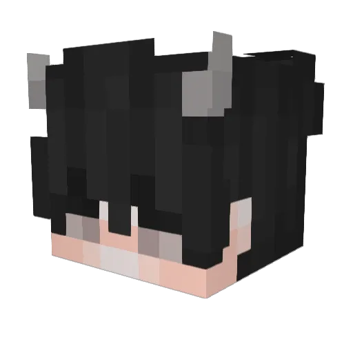 xRandomGamerx Minecraft avatar head, 3D render