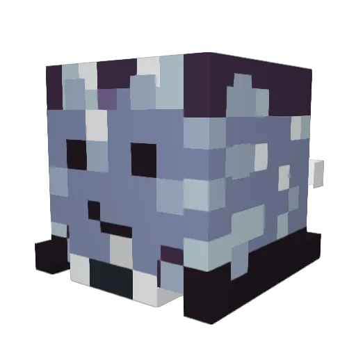 xRaucha Minecraft avatar head, 3D render
