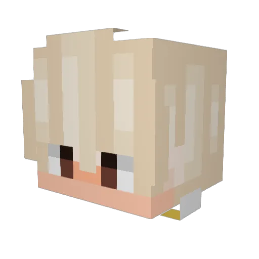 xRayvex Minecraft avatar head, 3D render