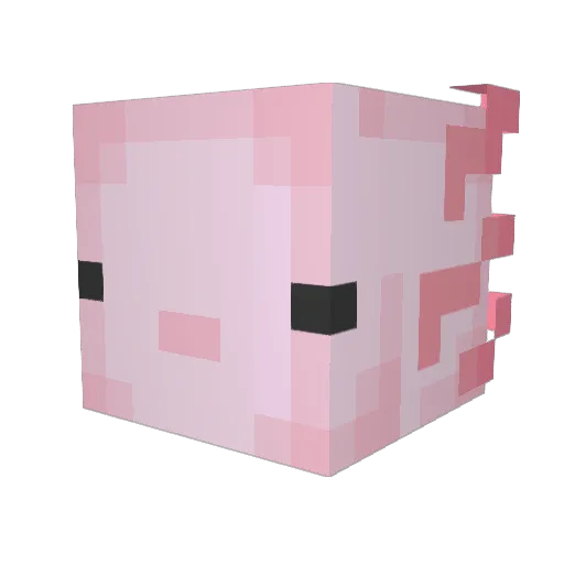 xReddari Minecraft avatar head, 3D render
