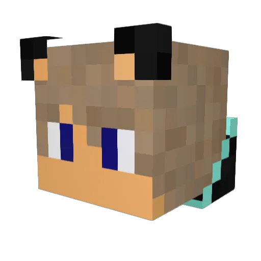 xReflex77 Minecraft avatar head, 3D render