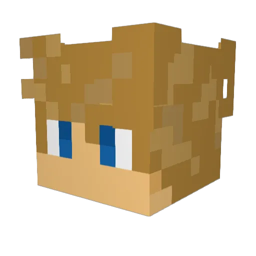xReggiehawkx Minecraft avatar head, 3D render