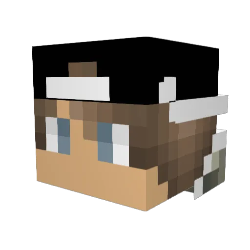 xRegz523 Minecraft avatar head, 3D render
