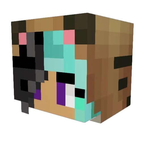 xRemme_SMGx Minecraft avatar head, 3D render
