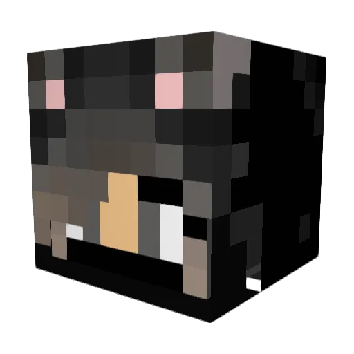 xReyRoox Minecraft avatar head, 3D render