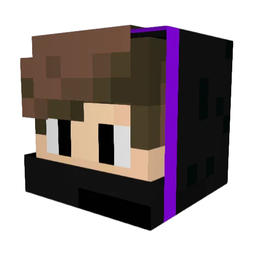xReyX_2 Minecraft avatar head, 3D render