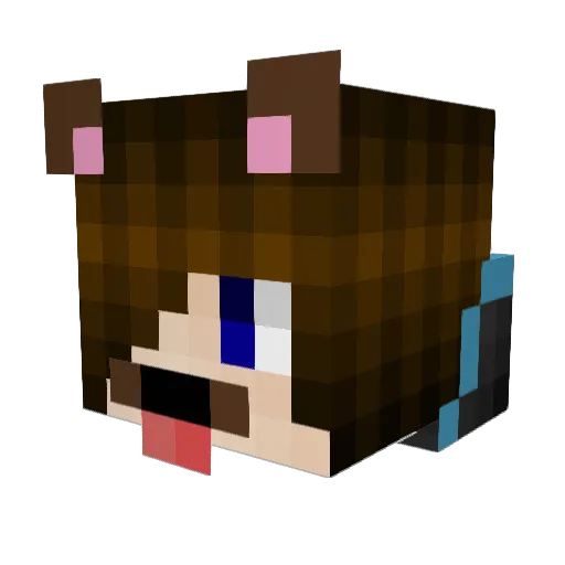 xRiguy Minecraft avatar head, 3D render