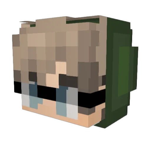 xRockxPenguinx Minecraft avatar head, 3D render