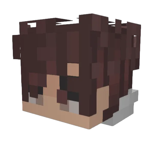 xRonaldox Minecraft avatar head, 3D render