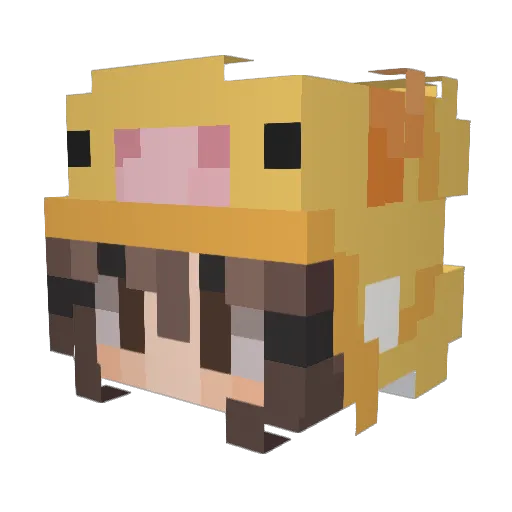 xRosalee Minecraft avatar head, 3D render