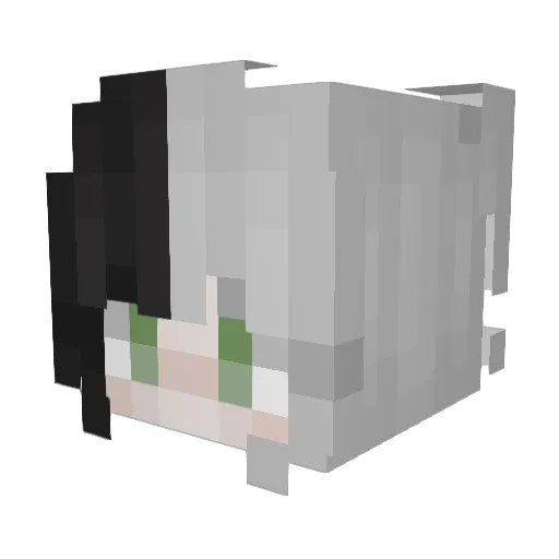 xRoses_ Minecraft avatar head, 3D render