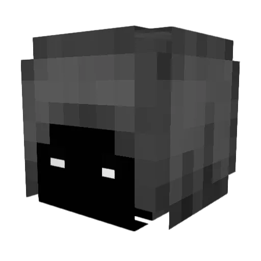 xRyuAx Minecraft avatar head, 3D render