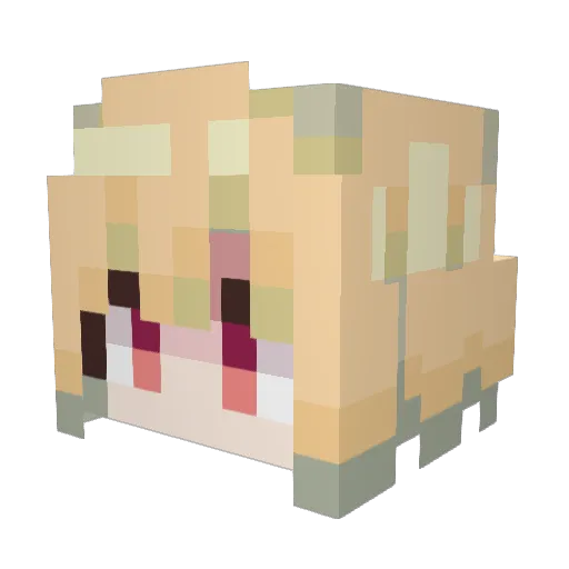 xSIRLEE Minecraft avatar head, 3D render