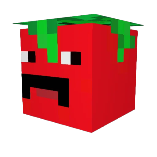 xSPICYxPEPPERx Minecraft avatar head, 3D render