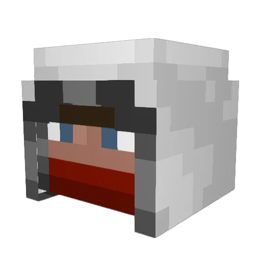 xSPL3IFx Minecraft avatar head, 3D render