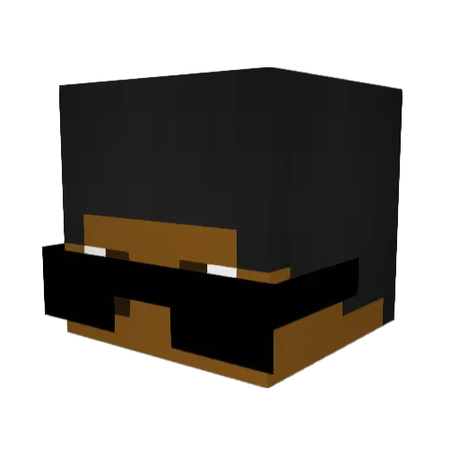 xSaf1n Minecraft avatar head, 3D render