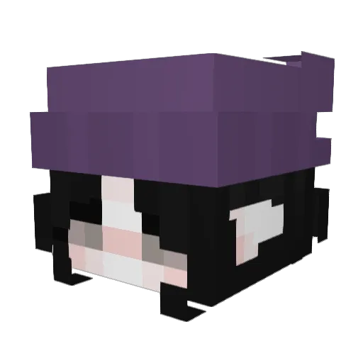 xSaftladenx Minecraft avatar head, 3D render
