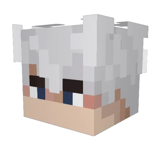 xSagaRx1 Minecraft avatar head, 3D render