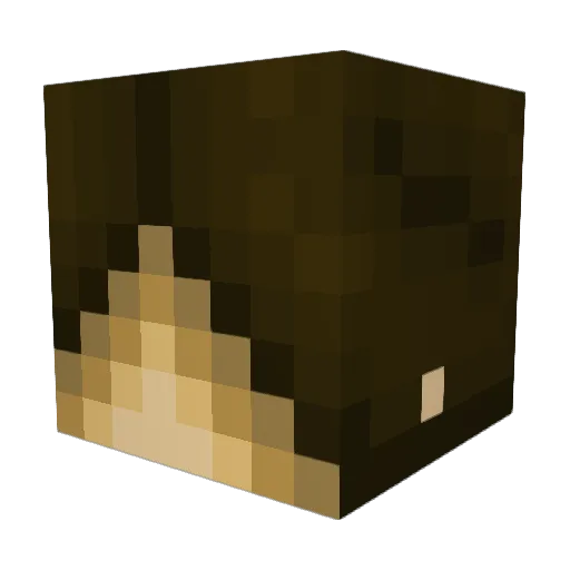 xSagexSwordsMenx Minecraft avatar head, 3D render