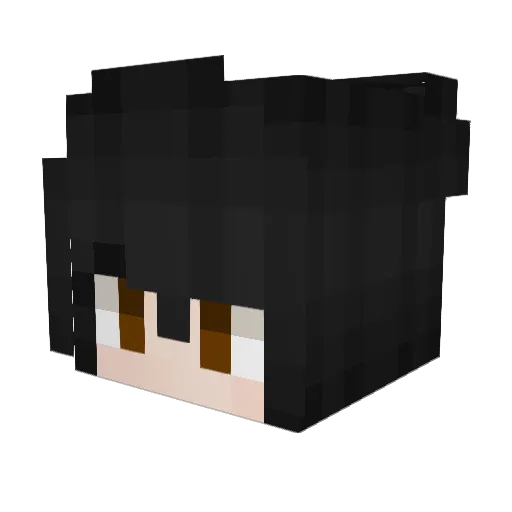 xSalemMoonx Minecraft avatar head, 3D render