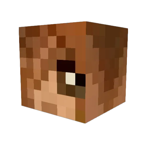 xSapientiae Minecraft avatar head, 3D render