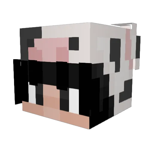 xSatii Minecraft avatar head, 3D render