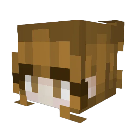 xScarbee Minecraft avatar head, 3D render