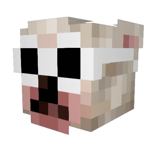 xScout_ Minecraft avatar head, 3D render