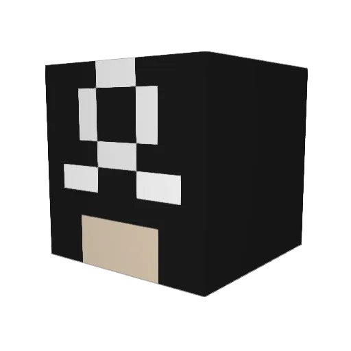 xSean4 Minecraft avatar head, 3D render