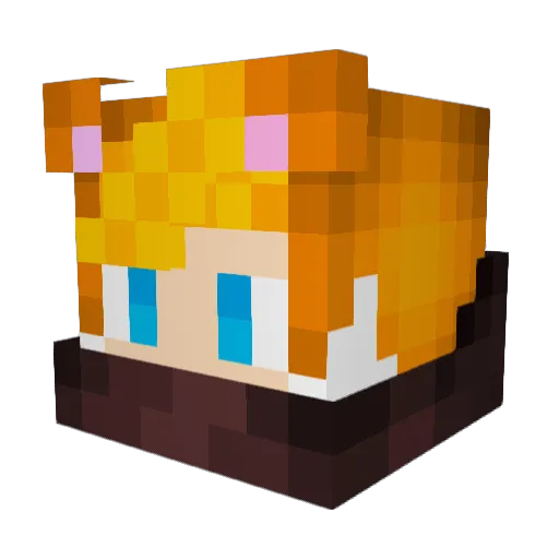 xSeanzz Minecraft avatar head, 3D render