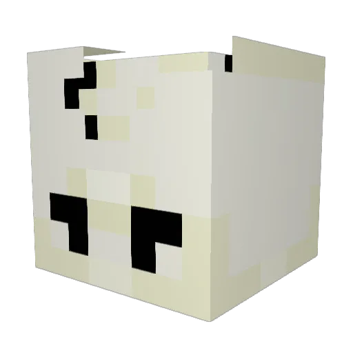 xSeba2115 Minecraft avatar head, 3D render